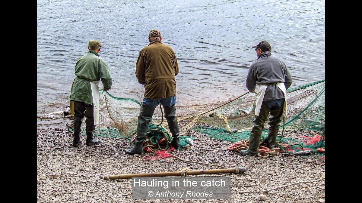 Hauling in the catch_Anthony Rhodes